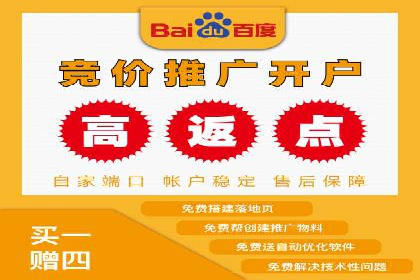 SEM竞价案例分析：提升广告投放效果